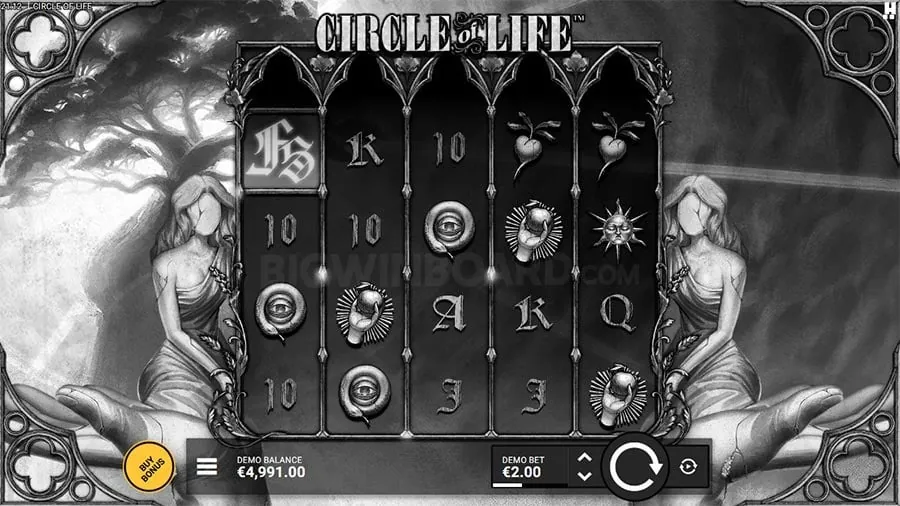 Experience Live Dealer Games